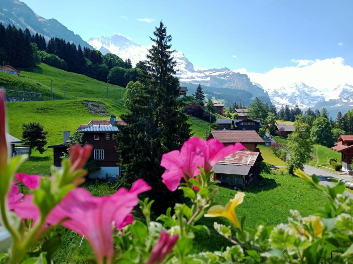 Apartment With Great View At Residence Brunner Wengen Zewnętrze zdjęcie