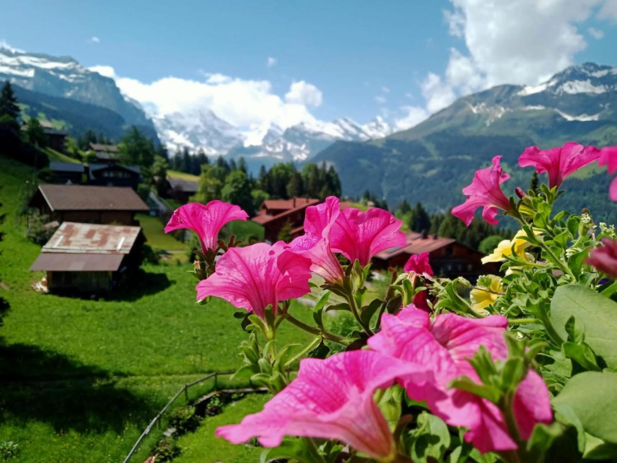 Apartment With Great View At Residence Brunner Wengen Zewnętrze zdjęcie